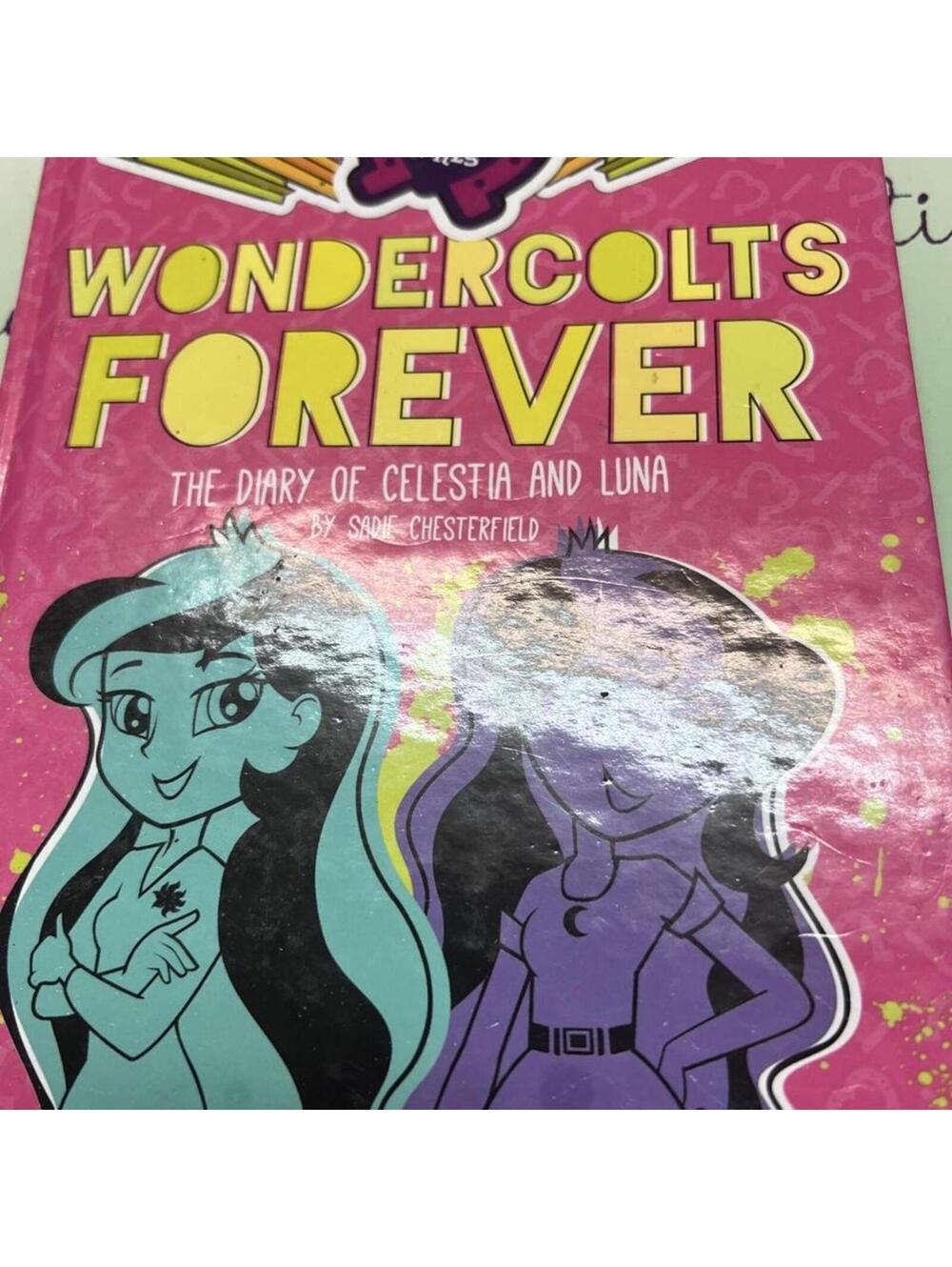 My Little Pony  Pink and Multi Book